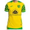 Original Fußballtrikot Norwich City Heimtrikot 2021-22 Für Herren